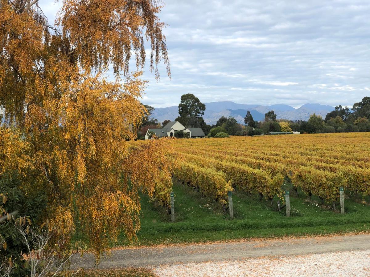 Vineyard Cottage In Blenheim On The Golden Mile ภายนอก รูปภาพ