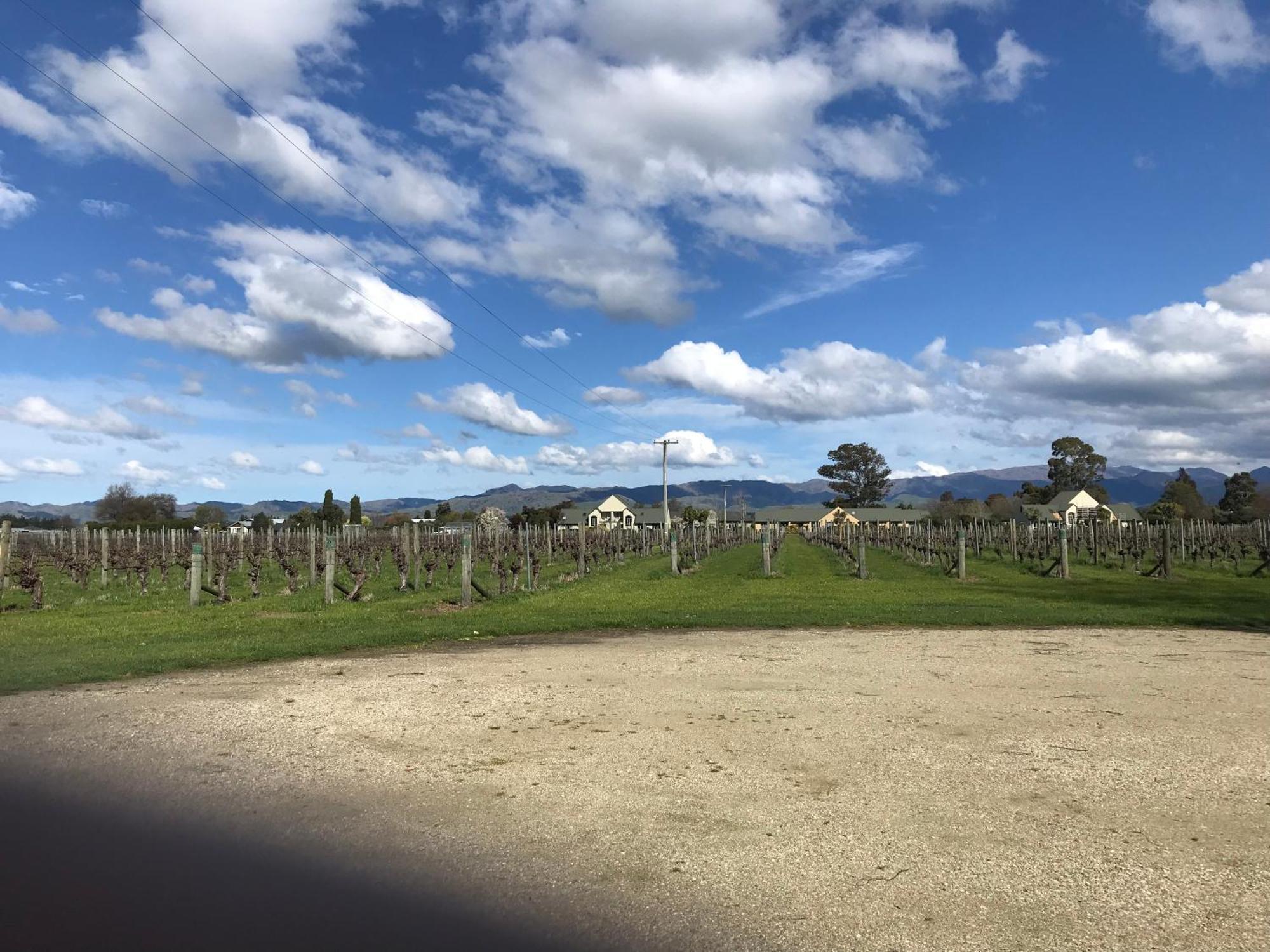 Vineyard Cottage In Blenheim On The Golden Mile ภายนอก รูปภาพ
